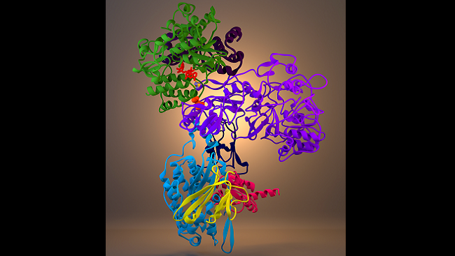 Kristen Ryan, Donald S. Backos, Philip Reigan, and Manisha Patel. Post-Translational Oxidative Modification and Inactivation of Mitochondrial Complex I in Epileptogenesis. The Journal of Neuroscience, 15 August 2012, 32(33):11250-11258.