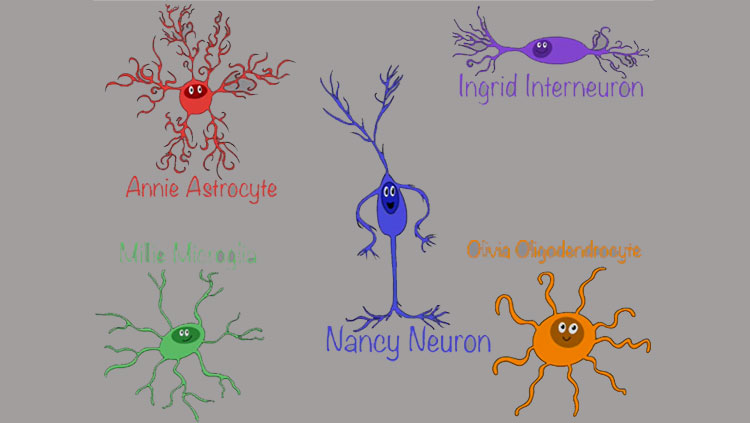 Animated cells in the brain