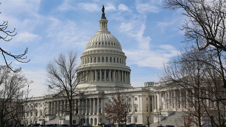 Image of the capitol building with trees in the foreground.