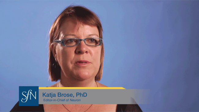 Katja Brose explains what being a science editor means for a neuroscience non-academic career.