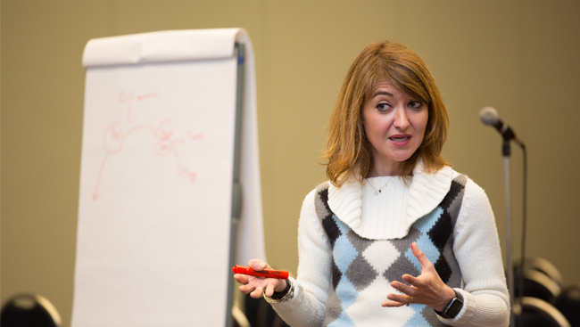 Neuroscience 2017 attendee delivering a presentation