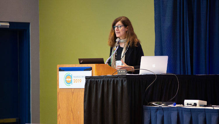 A panelist speaks at a podium at a professional development workshop at Neuroscience 2019.