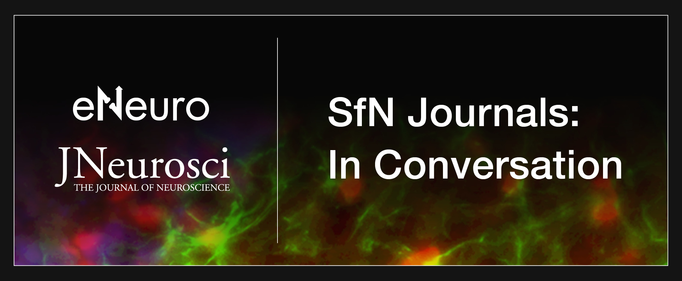 eNeuro and JNeuroscie Present SfN Journals: In Conversation.