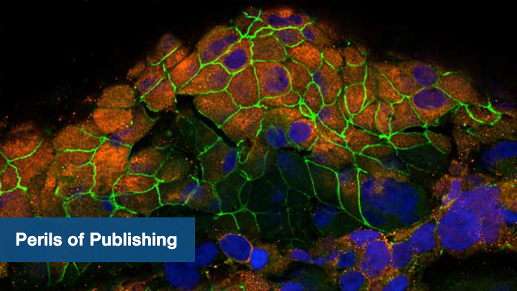 Perils Of Publish Collection Thumbnail