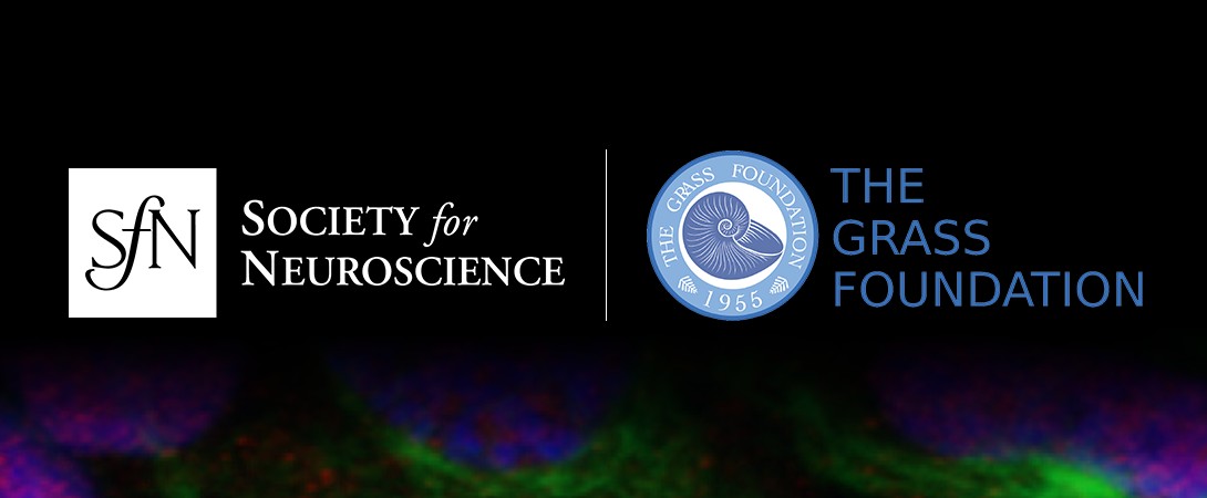 Grass Leadership Development Series thumbnail