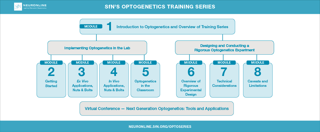 Title card that displays the layout of SfN's Optogenetics Training Series