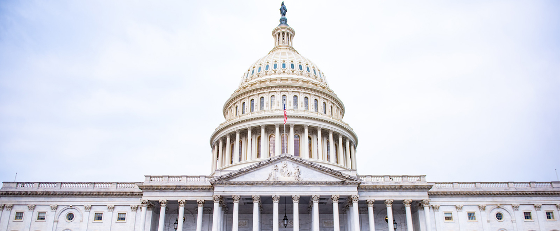 image of the US Capitol Building