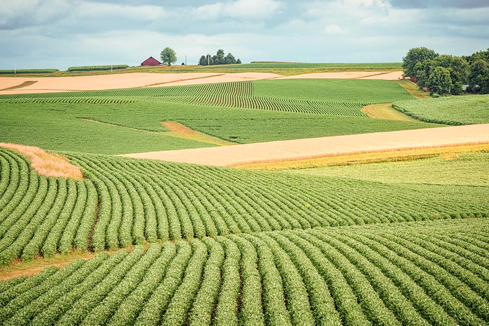 Iowa farmland