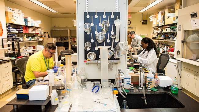 Photo of scientists in a lab