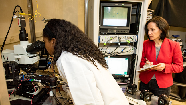 Photo of scientist looking into a microscope in a lab while a mentor looks on