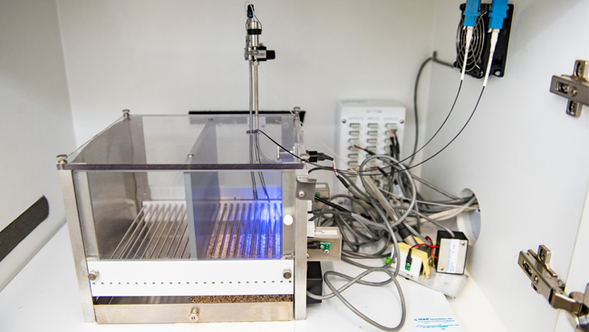 In vivo optogenetic experiment lab set up