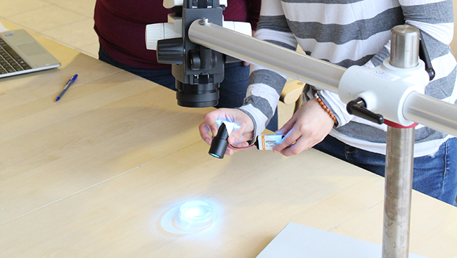 Image of instructor and student examining a plate with C. elegans