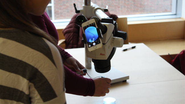 A demonstration of optogenetic techniques in the classroom