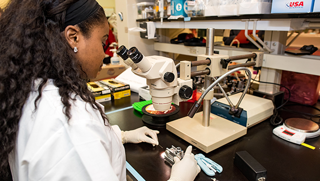 Optogenetics experiment in the lab