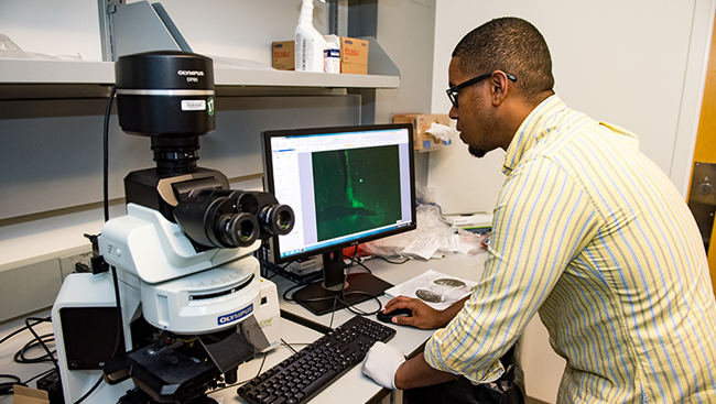 Man performing an optogenetics experiment in the lab