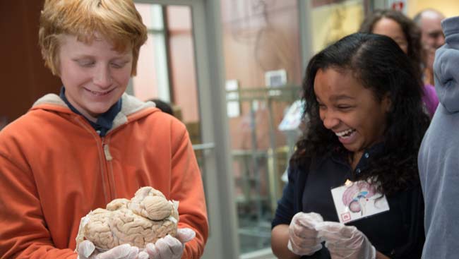 Two elementary students learn about the brain at an outreach event. 