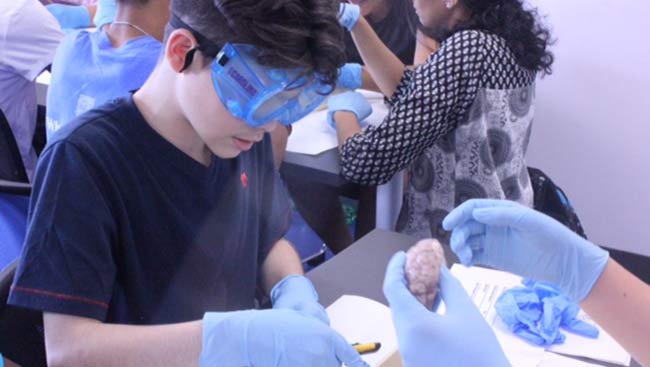 A student completes a dissection during a summer school class in Harlem, New York. 