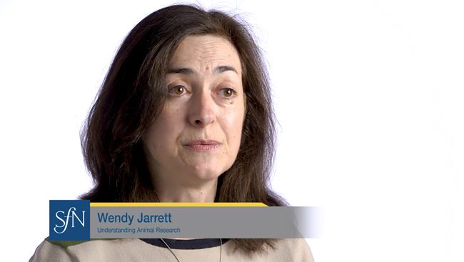 Wendy Jarrett talks about how to make the case for using animals in research