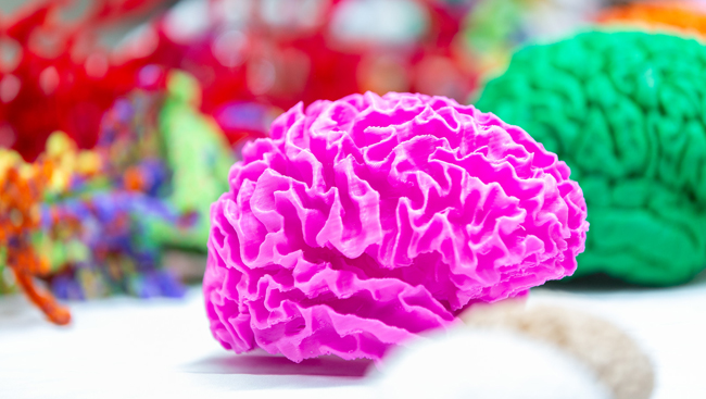 Brain art made up of paper and pipe cleaners