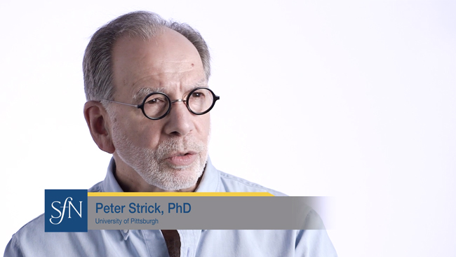 Peter Strick speaks to an interviewer (off camera).