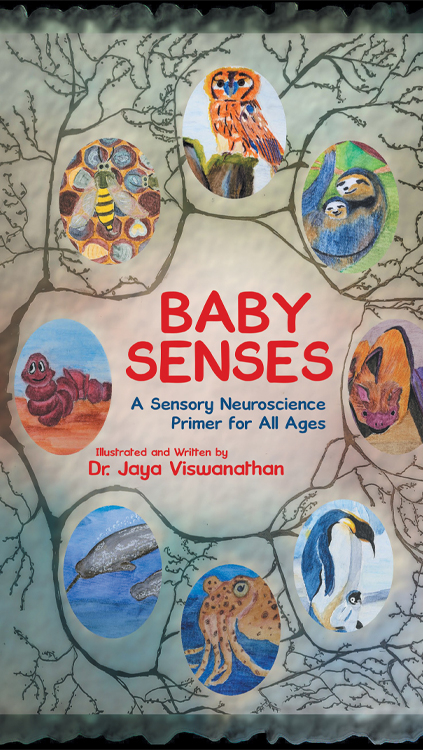 Illustrated book cover of Baby Senses