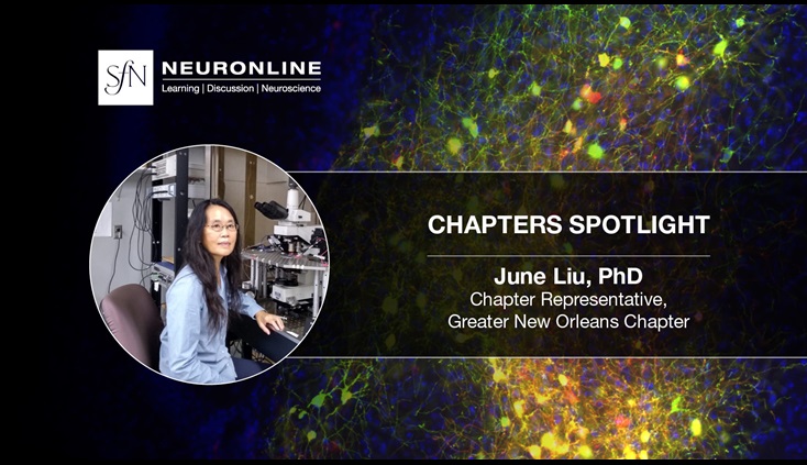 SfN Neuronline logo. Chapters Spotlight. June liu, PhD. Chapter Representative, Greater New Orleans Chapter.