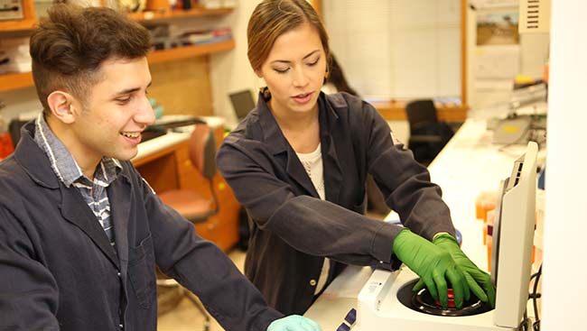 Two neuroscientists conduct an experiment in the lab. 