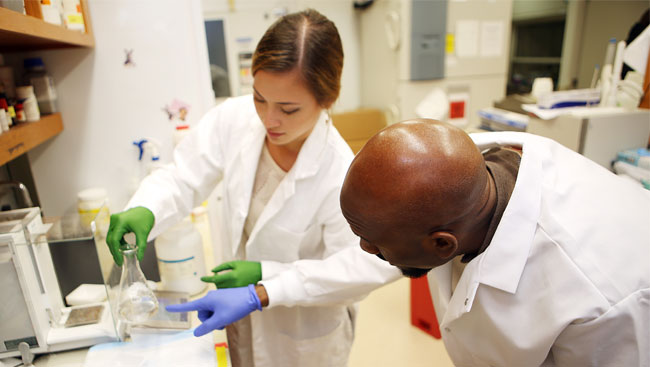 Neuroscientists doing lab work