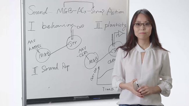 Qiaojie Xiong delivers a snapshot of her research plan