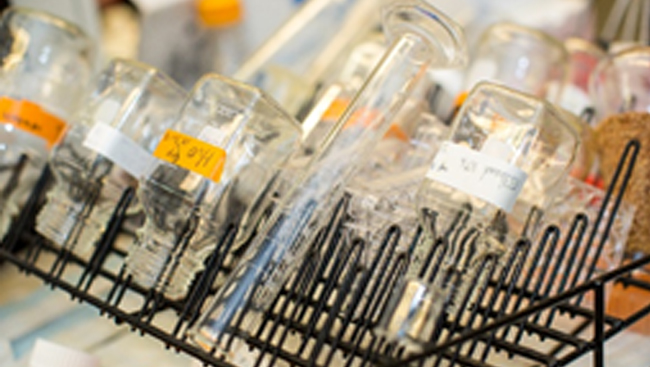 Glassware on a drying rack in a lab