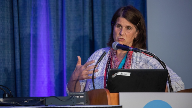 Maryann Martone speaks at Neuroscience 2018