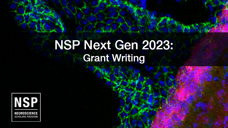 NSP Next Gen 2023: Grant Writing 