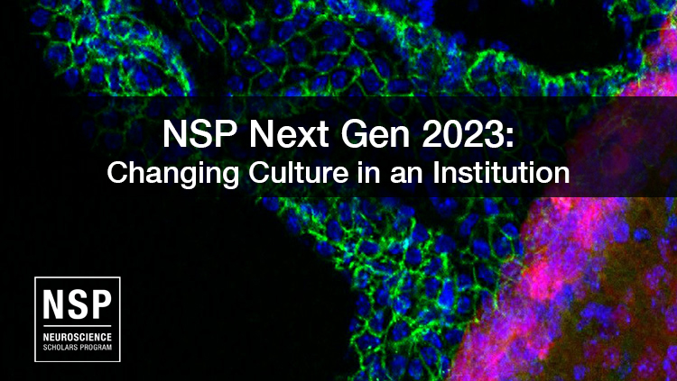 NSP Next Gen 2023: Changing Culture in an Institution