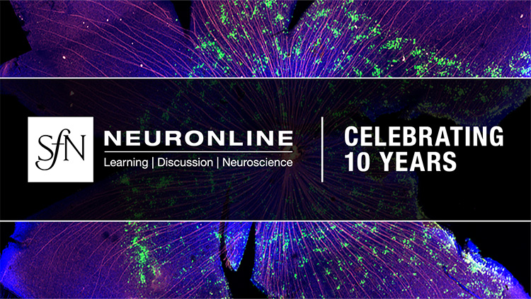 Neuronline Celebrating Ten Years thumbnail