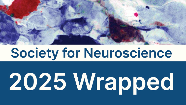 society for neuroscience 2025 wrapped