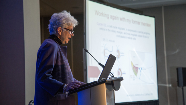 Carol Mason standing at a podium, speaking at the NSP mentoring breakfast in 2017