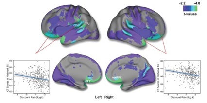 Scientific Image