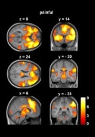 Scientific Image