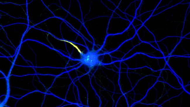 Scientific stock image