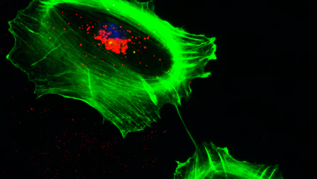 Scientific stock image