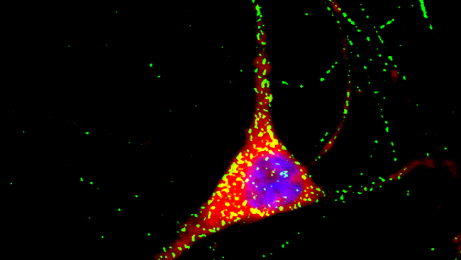 Scientific stock image