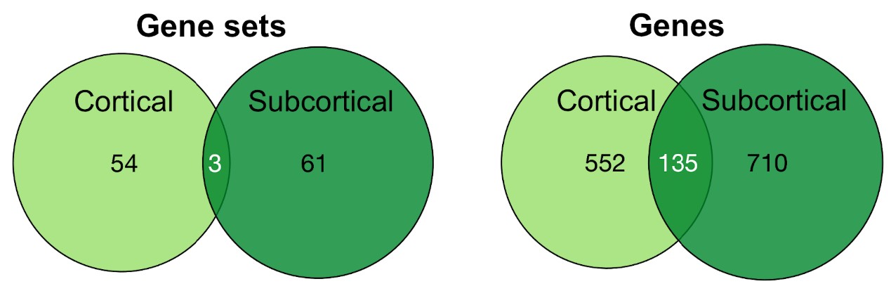 Figure 5 from Pin Kwang Tan et al., eNeuro 2019.