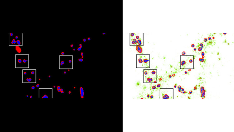 Extracting spatial heterogeneity of AMPA receptor content within functional zones of the synapses to quantify homeostatic scaling. Related to Figure 5 in the manuscript.