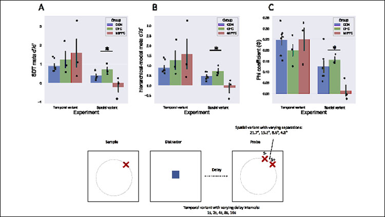 The main results showing differential deficits in metacognition in the superior dorsolateral PFC lesioned monkeys (top) and the behavioral task (bottom).