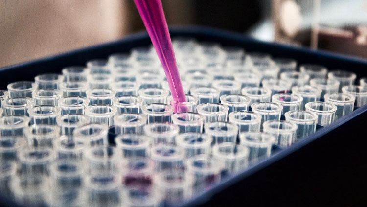 Image of neatly arranged test tubes.