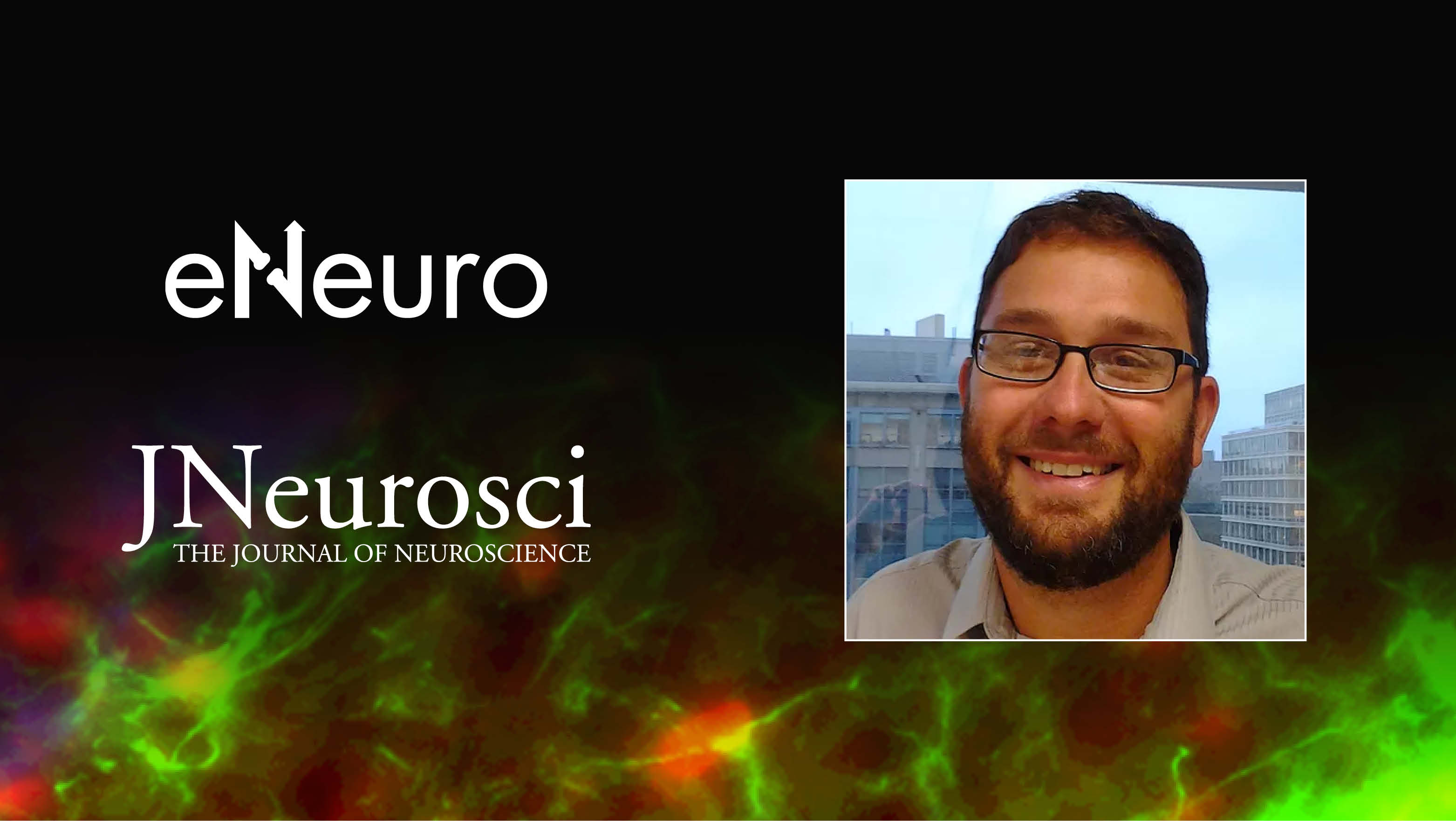 Input-Independent Homeostasis of Developing Thalamocortical Activity