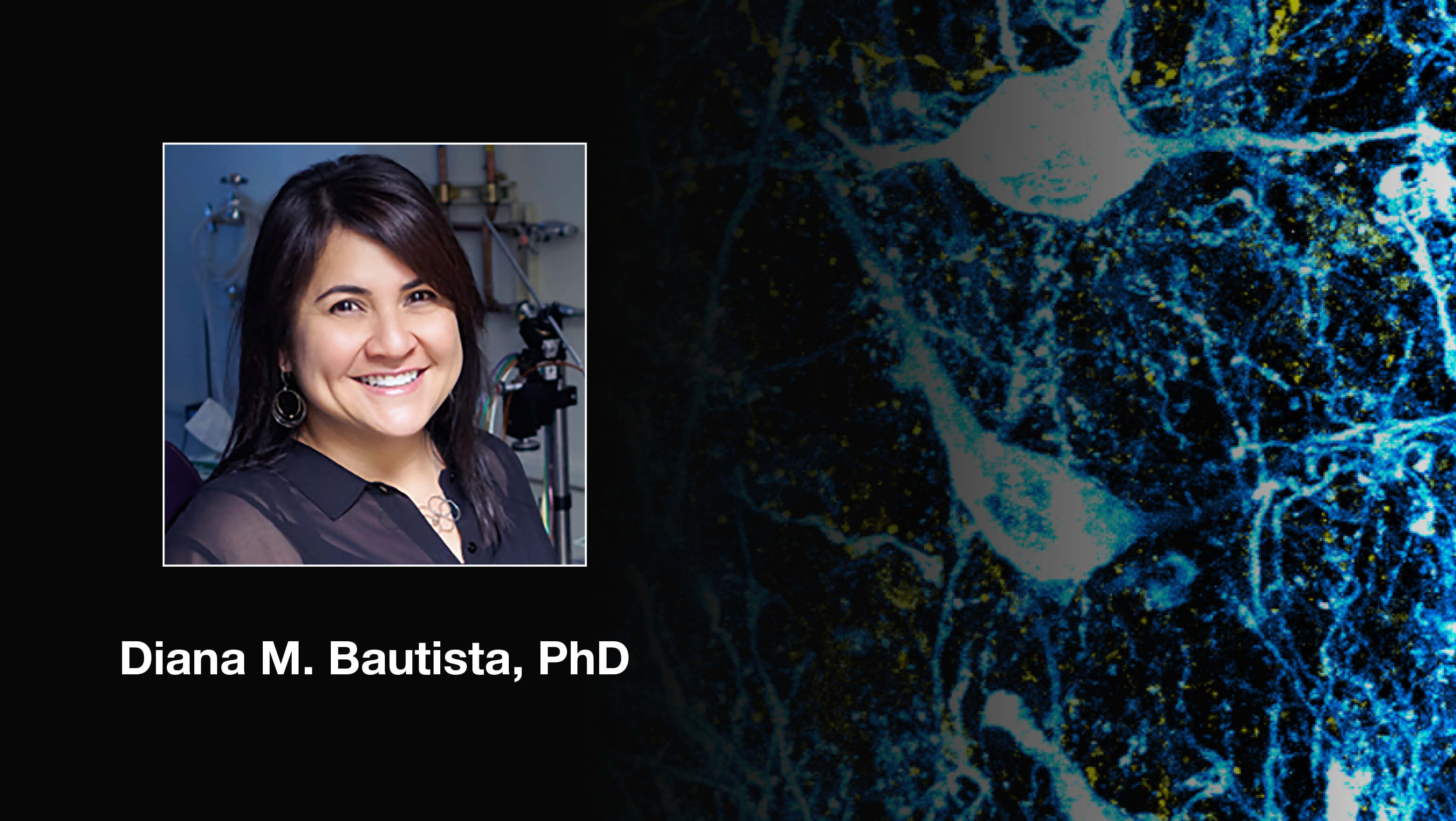 Headshot of Diana M Bautista over a scientific image