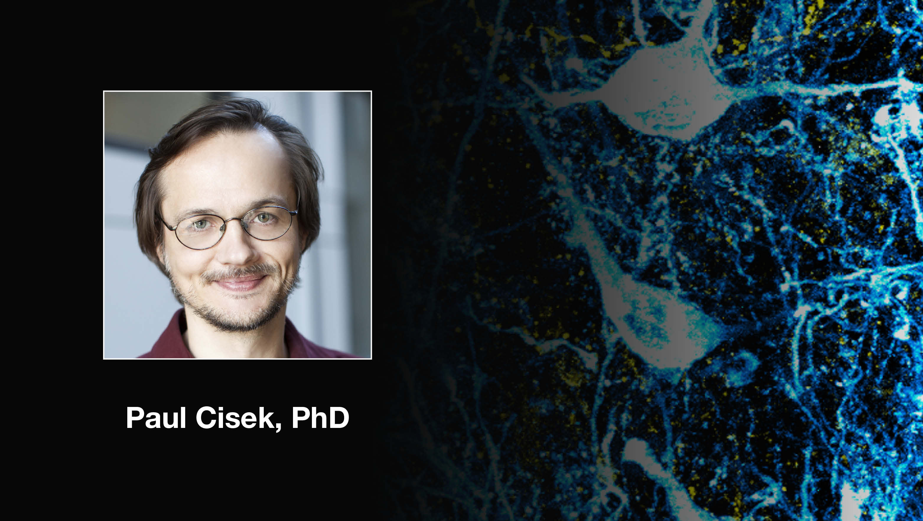 Headshot of Paul Cisek over a scientific image