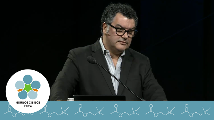 Costa Rui speaking thumbnail