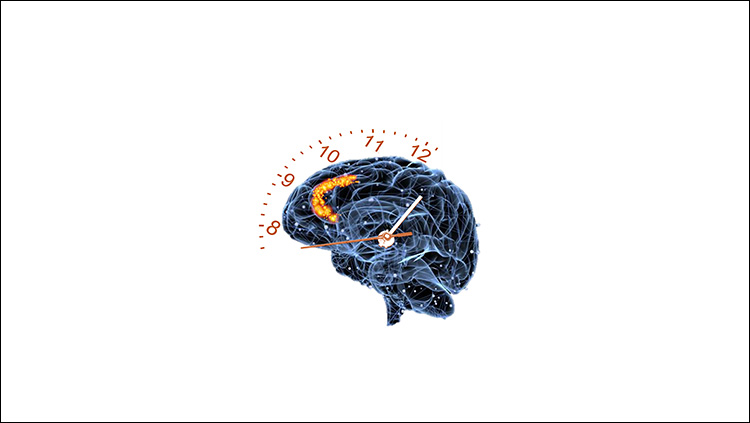 B -GIMP Temporal Processing cover image